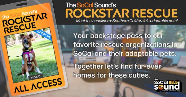 KCSN RockstarRescue PotW 021826 CreateOutlines FACEBOOK 1200x630