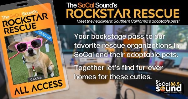 KCSN RockstarRescue PotW 060326 CreateOutlines FACEBOOK 1200x631
