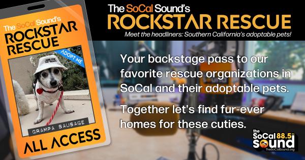 KCSN RockstarRescue PotW 062426 CreateOutlines FACEBOOK 1200x631