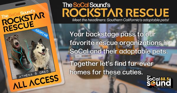 KCSN RockstarRescue PotW 11725 CreateOutlines FACEBOOK 1200x630