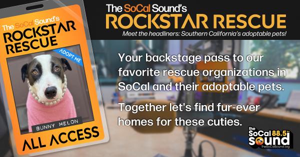 KCSN RockstarRescue PotW 120825 CreateOutlines FACEBOOK 1200x631